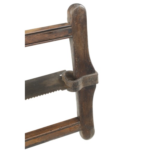 244 - An early mahogany frame saw marked F.G. 36