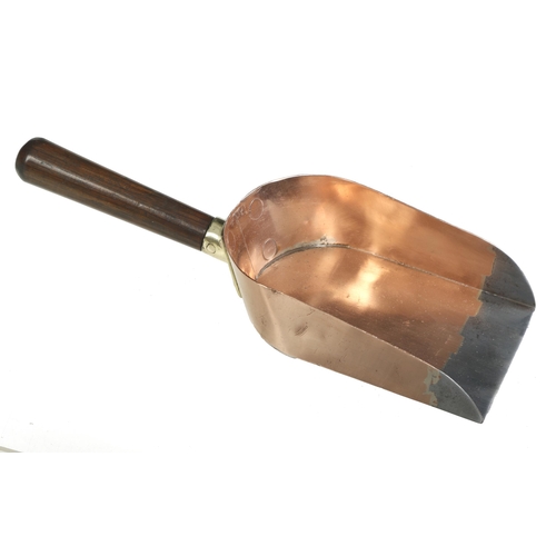 785 - A banker's unusually small brass coin shovel with steel front and rosewood handle 10