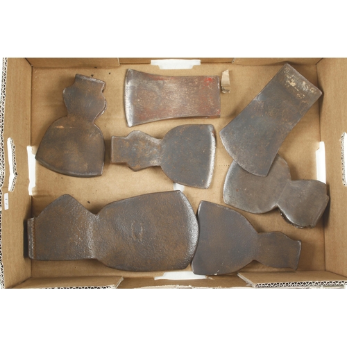 881 - Ten axe heads G