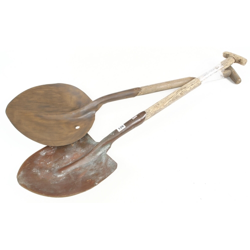 Lot 126       