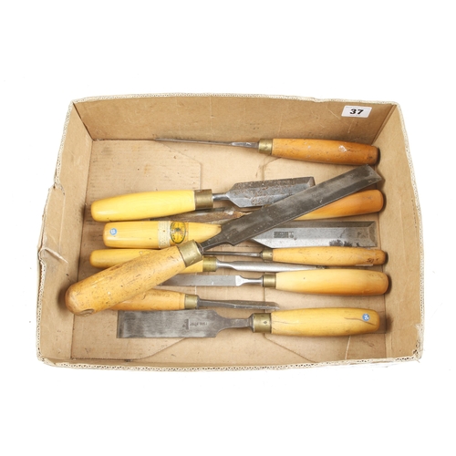 37 - Ten chisels and gouges with boxwood handles G+
