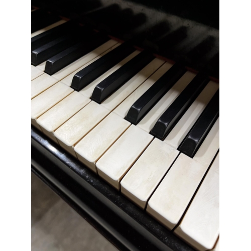 112 - Bösendorfer (c1919)A 6ft 7in Model 200 in an ebonised case on square tapered legs. This instrument w... 