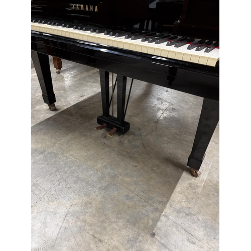 38 - Yamaha (c1985)A 6ft 1in Model C3 grand piano in a bright ebonised case on square tapered legs.