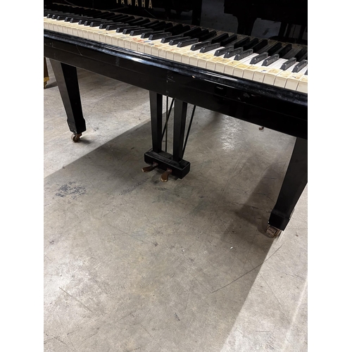 48 - Yamaha (c1986)A 6ft 1in Model C3 grand piano in a bright ebonised case on square tapered legs.