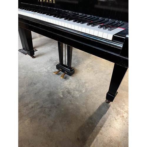 56 - Yamaha (c1957)A 5ft 7in Model G2 grand piano in a bright ebonised case on square tapered legs; toget... 