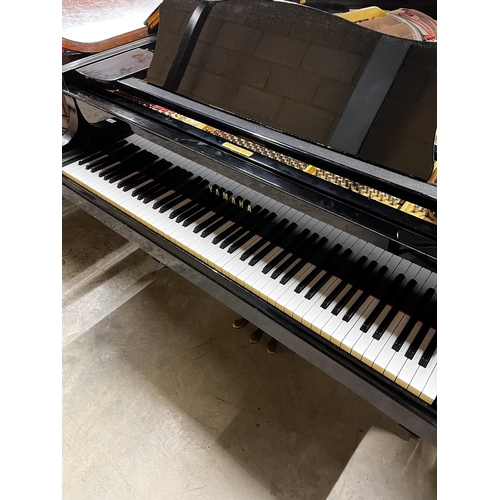 87 - Yamaha (c1980)A 6ft 7in Model C5 grand piano in a bright ebonised case on square tapered legs; toget... 