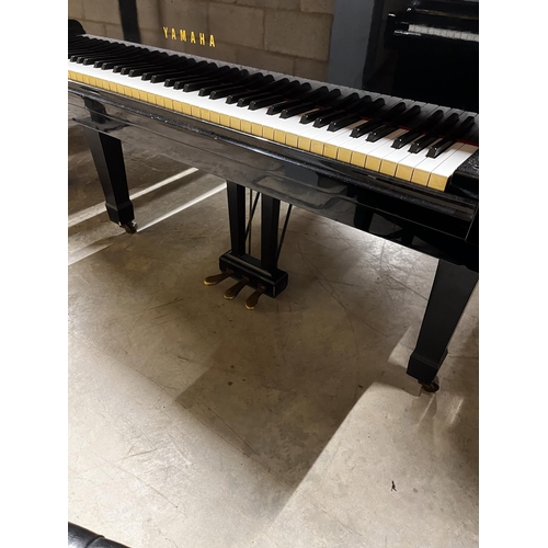 87 - Yamaha (c1980)A 6ft 7in Model C5 grand piano in a bright ebonised case on square tapered legs; toget... 