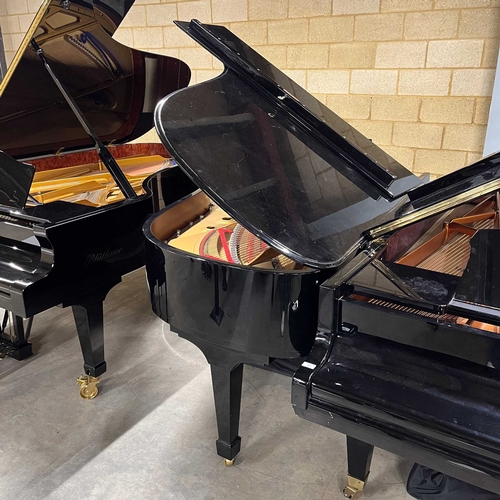 60 - Steinway (c2001)A 6ft 11in Model B grand piano in a bright ebonised case on square tapered legs.... 