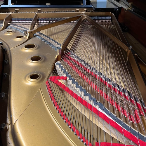 60 - Steinway (c2001)A 6ft 11in Model B grand piano in a bright ebonised case on square tapered legs.... 