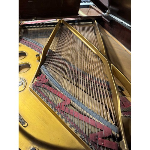 10 - Steinway (c1903)A 5ft 10in Model O grand piano in a rosewood case on square tapered legs. AMENDMENT ... 