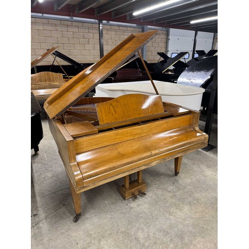 32 - Blüthner (c1937)A 4ft 11in grand piano in a walnut case on square tapered legs. IRN: 4HTFZDX6