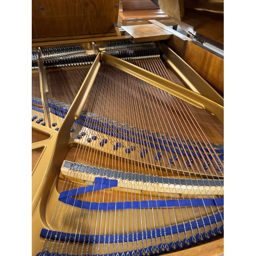 32 - Blüthner (c1937)A 4ft 11in grand piano in a walnut case on square tapered legs. IRN: 4HTFZDX6