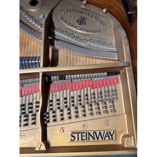 35 - Steinway (c1981)A 6ft 11in Model B grand piano in a bright ebonised case on square tapered legs.... 