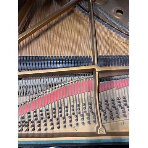 35 - Steinway (c1981)A 6ft 11in Model B grand piano in a bright ebonised case on square tapered legs.... 