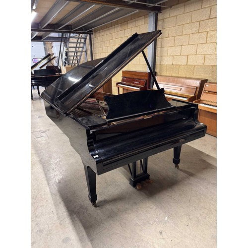 35 - Steinway (c1981)A 6ft 11in Model B grand piano in a bright ebonised case on square tapered legs.... 