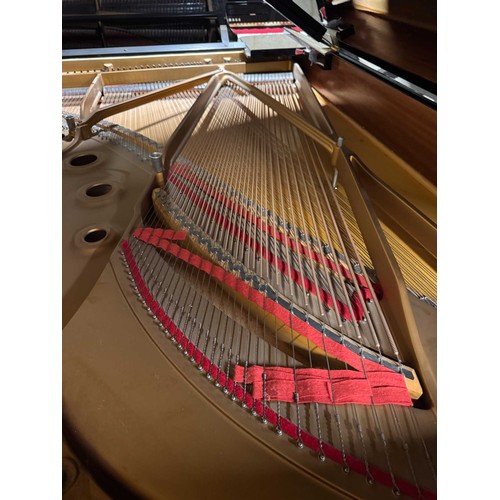 35 - Steinway (c1981)A 6ft 11in Model B grand piano in a bright ebonised case on square tapered legs.... 