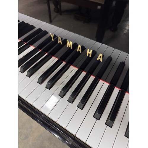 43 - Yamaha (c1982)A 6ft 7in Model C5 grand piano in a bright ebonised case on square tapered legs.