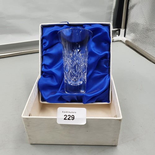 229 - Royal Doulton Crystal Vase in Box.