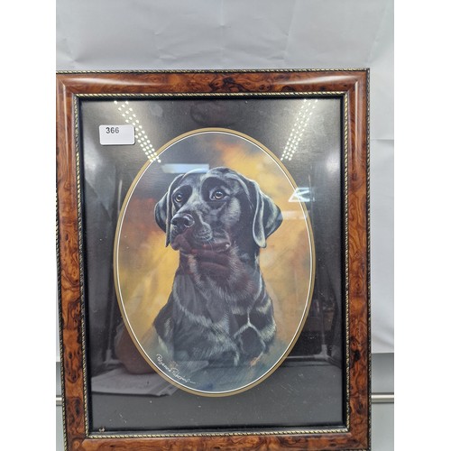 366 - Pollyanna Pickering Signed Dog Picture.