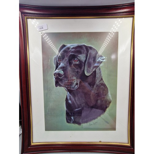 404 - Signed Brian Hupfield Dog Picture.