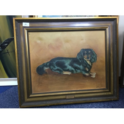 45 - Genuine Oil On Canvas Picture Of a Long Haired Dachshund Signed A Fisher Framed 24 x18