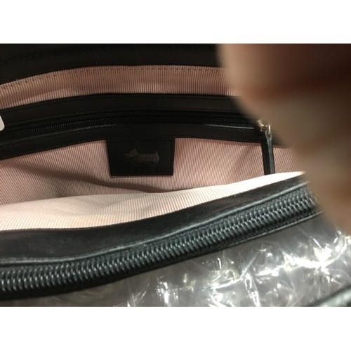 174 - Genuine Radley Bag