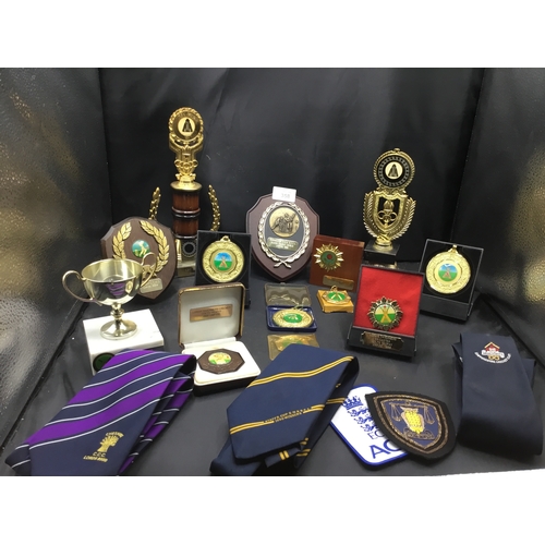 358 - Cricket Memorabilia x 10+ To Include Trophy’s, Medals, Ties, Plaques Etc