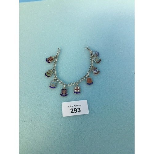 293 - 925 Silver Charm Bracelet and Charms