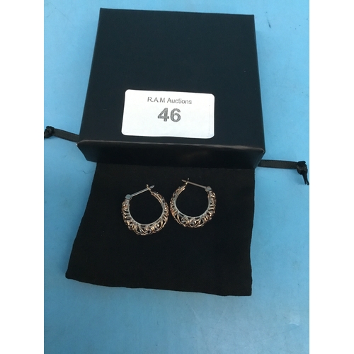 46 - New In The Box Rose Gold on 925 Silver Earrings