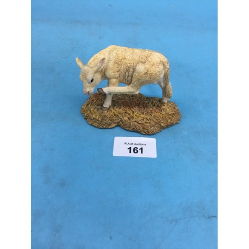 161 - Border Fine Arts Charolais Calf - Itching To Scratch