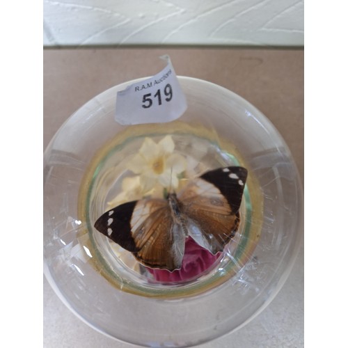 519 - Display Mushroom Glass Sealed Foliage