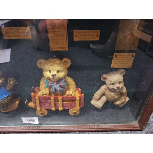 1236 - Vintage Framed and Glazed History of the Teddy Bear