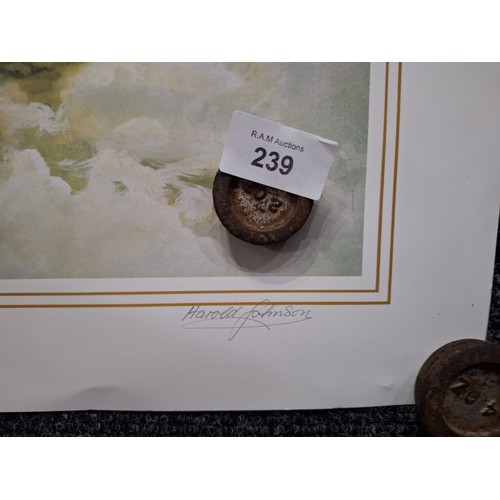 Lot 239       