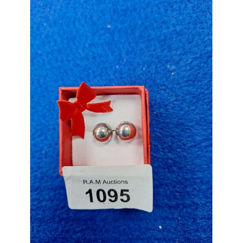 1095 - Boxed Silver Earrings