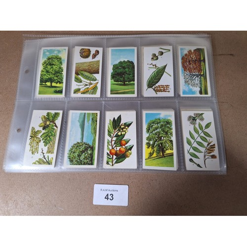 43 - Full Set of Brooke Bond Tea Cards Trees in Britain