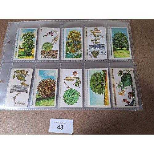 43 - Full Set of Brooke Bond Tea Cards Trees in Britain