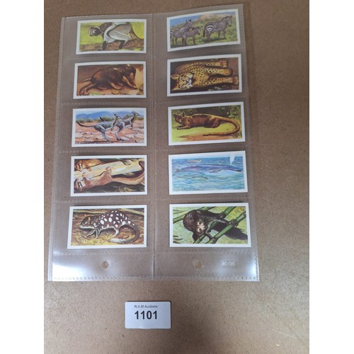 1101 - Full Set Of Vintage Brooke Bond Cards Wildlife In Danger