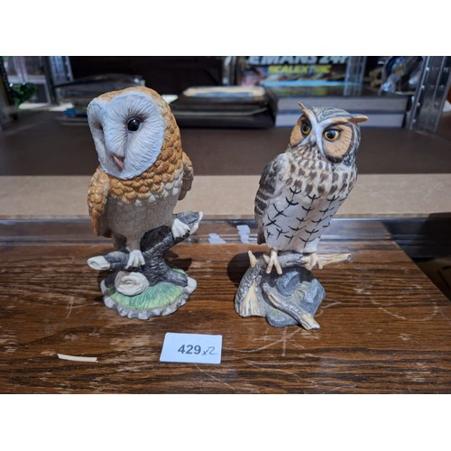 429 - Leonardo Owls x2 6