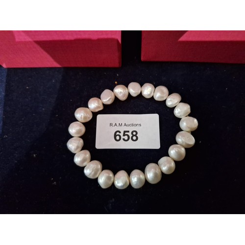 Lot 658       