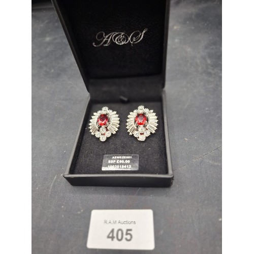 405 - Boxed designer earrings large with stones RRP £60