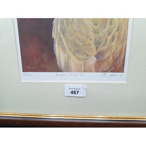 467 - Framed Ltd edt. Hand signed barn owl 2 13/500 by David cook