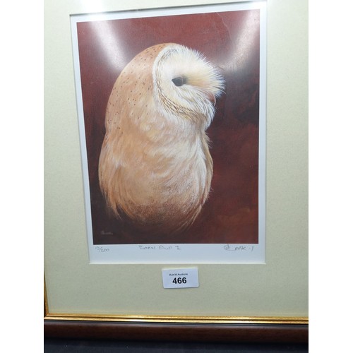 466 - Framed Ltd.edt. Hand signed barn owl No. 13/500 by David cook