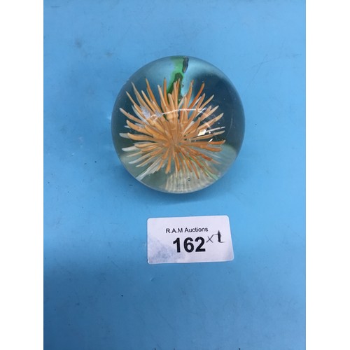 162 - Caithness signed P/W sea urchin