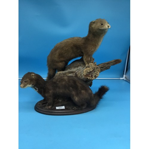 941 - Taxidermy Otters On a Log