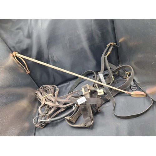 916 - Horse Tack x2 and a Whip