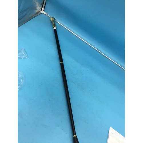 23 - Masonic Walking Stick