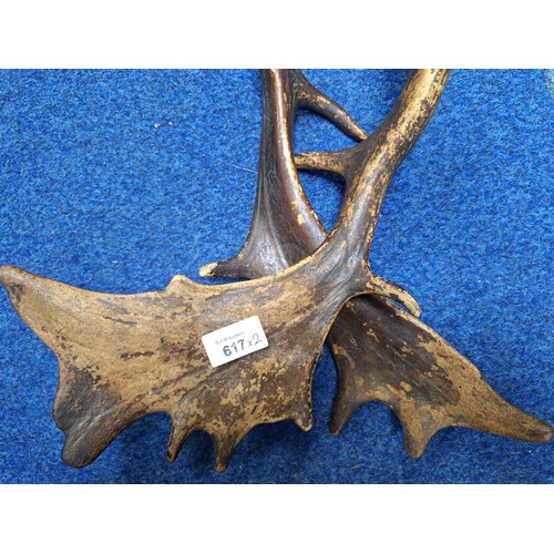 617 - Pair Of Vintage Deer Antlers