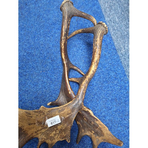 617 - Pair Of Vintage Deer Antlers