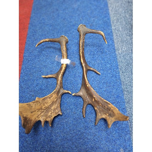 617 - Pair Of Vintage Deer Antlers