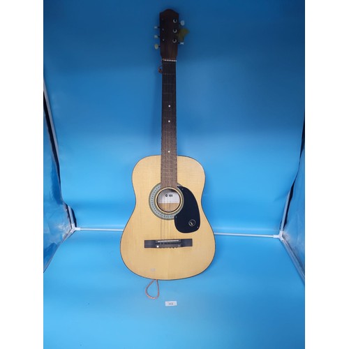 312 - Acoustic Guitar G101